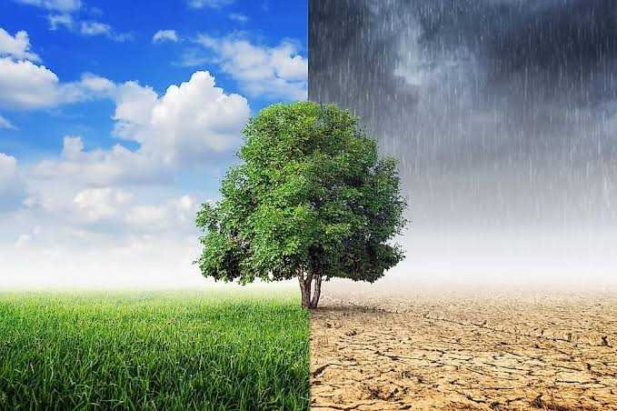 Weather &amp; Climate